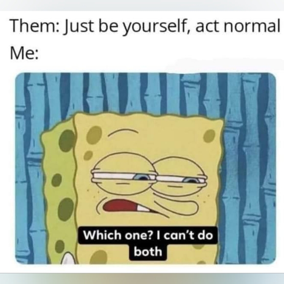 Meet your Posher, Burrito. - Picture 4 of 4